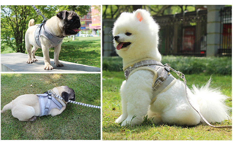 ROADREIGN - Wholesale Dog Harness Collar , High Quality Polyester Harness For Dog Pet Collars&Leashes 12