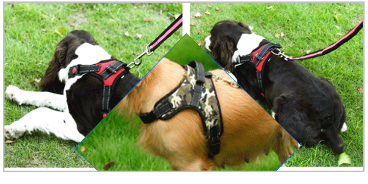 Factory Direct Heavy Duty Nylon Pet Harness Collar For Dog
