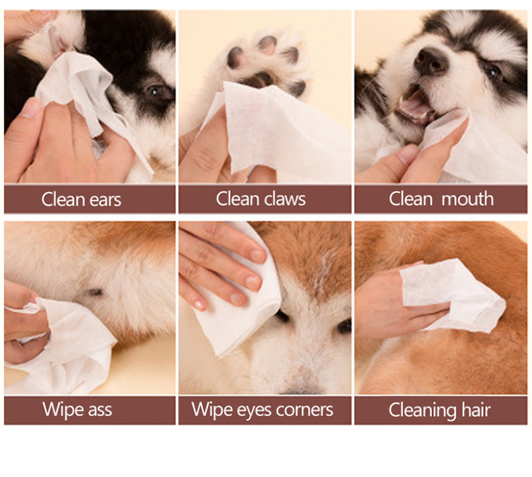 ROADREIGN - Custom Cat Soft Disposable Pet Dog Care Wipes Pet Cleaning 3
