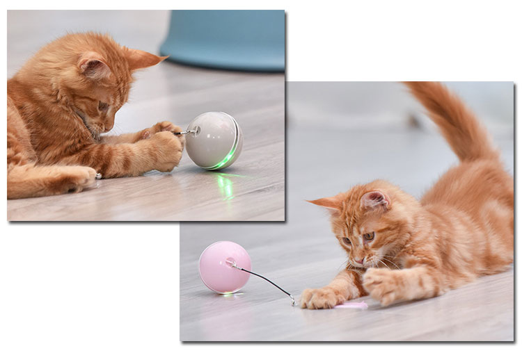 ROADREIGN - Cat LED Ball Toy USB Charging Automatic Funny Cat Sounding Ball With Feather And Bell Pet Toys 4