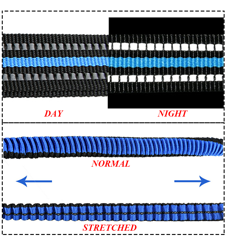 ROADREIGN - Dog Breakaway Heavy Duty Pet Leash Retractable Pet Collars&Leashes 10