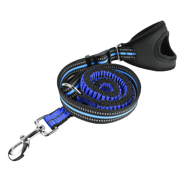 ROADREIGN - Dog Breakaway Heavy Duty Pet Leash Retractable Pet Collars&Leashes 3