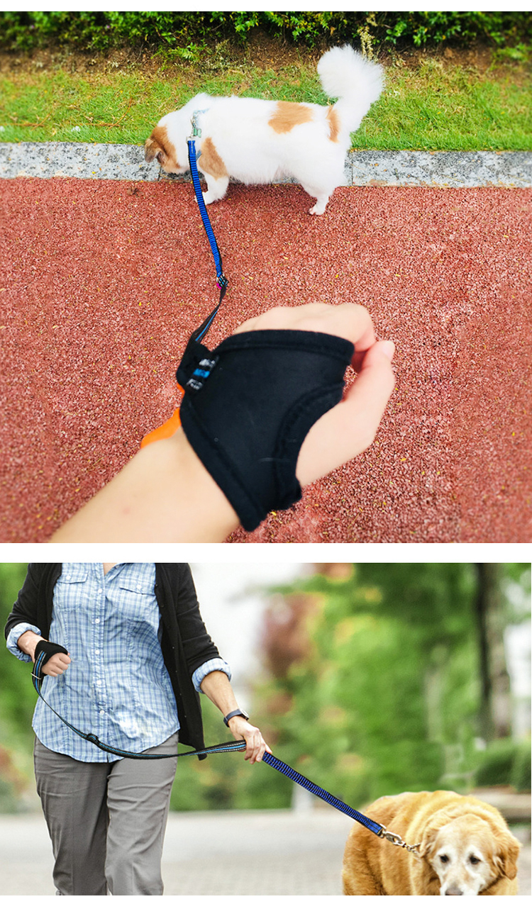 ROADREIGN - Dog Breakaway Heavy Duty Pet Leash Retractable Pet Collars&Leashes 11