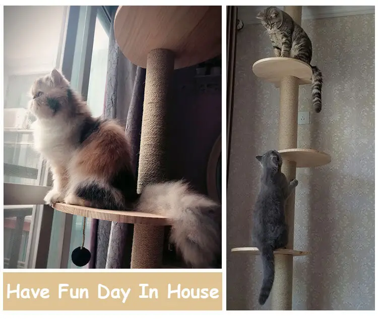 High Quality Custom Wooden Cat Grabbing Post Toy - 2.58-2.65m, 3 or 4 Layers 5