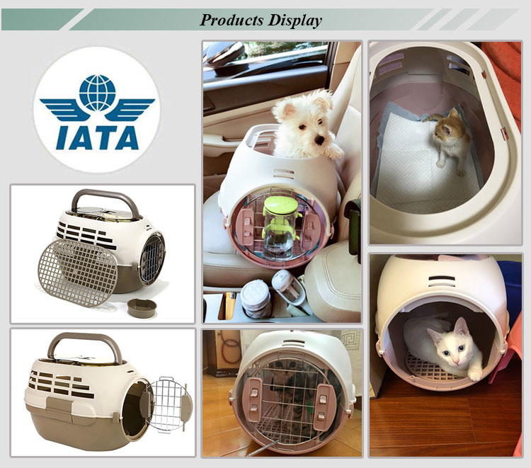 ROADREIGN - High Quality Skylight Design Plastic Pet Carrier Pet Carriers 12