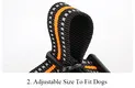 Reflective Step In Dog Harness with Customization Available 3