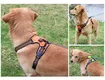 Reflective Step In Dog Harness with Customization Available 5