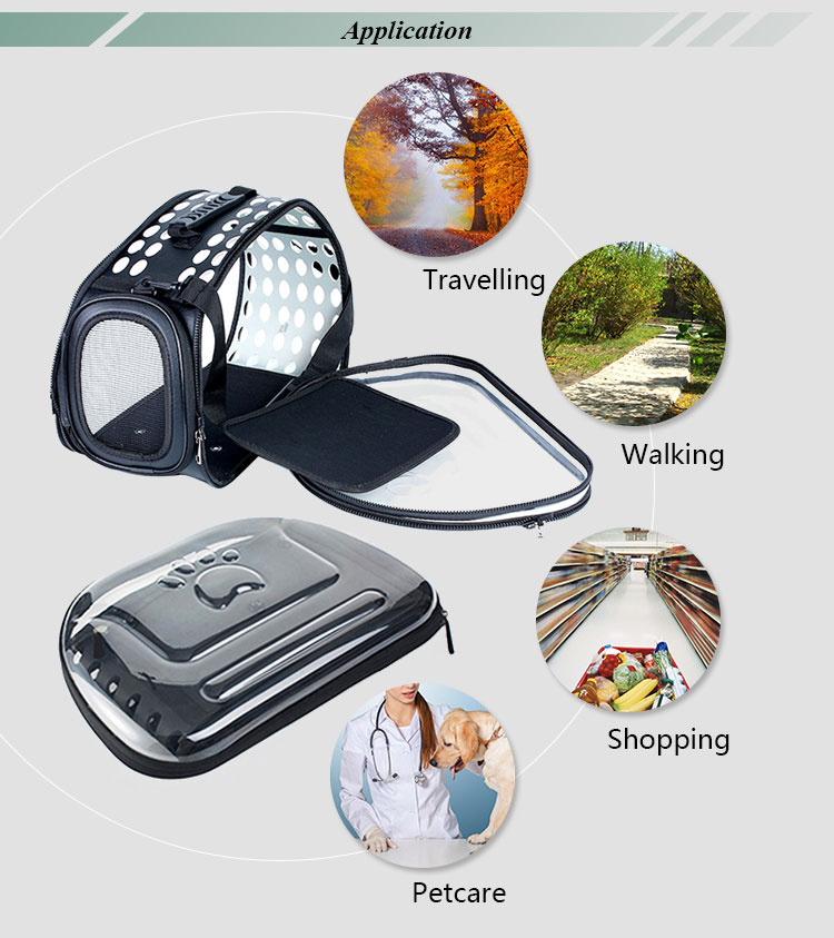 ROADREIGN - Wholesale Pet Travel Small Dog Carrier Foldable Transparent Plastic Bag Pet Carriers 11