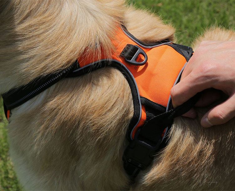 Manufacturer Wholesale Reflective Design Pet Dog Harness
