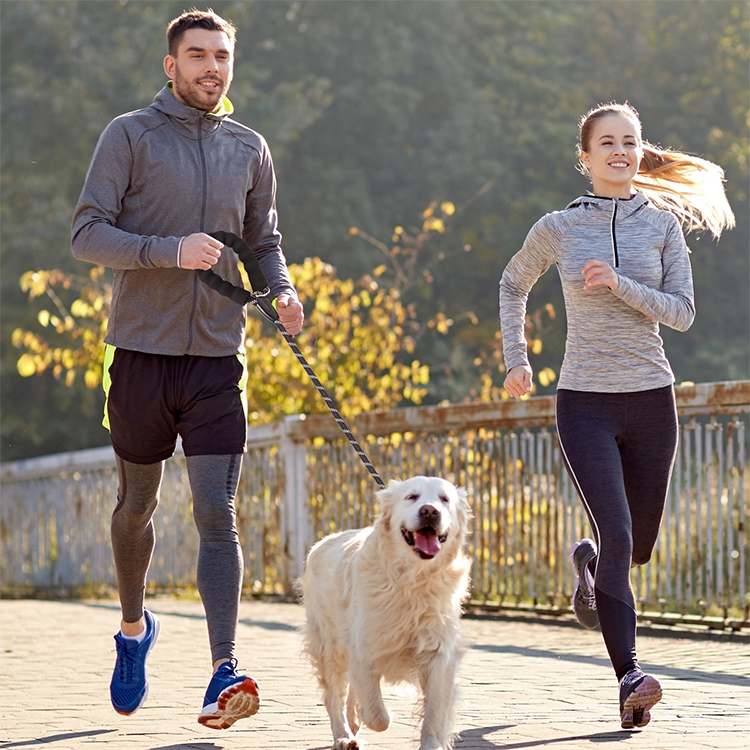 Waterproof Nylon Dog Leash with Comfortable Padded Handle and Highly Reflective Threads for Pet Dogs