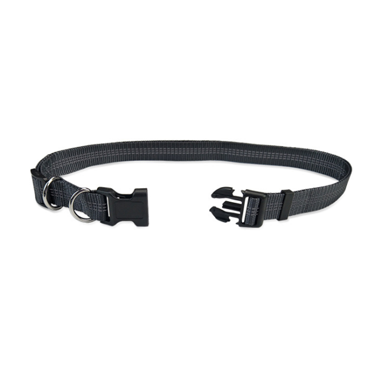 High-quality buy dog leashes in bulk Suppliers | Roadreign 8