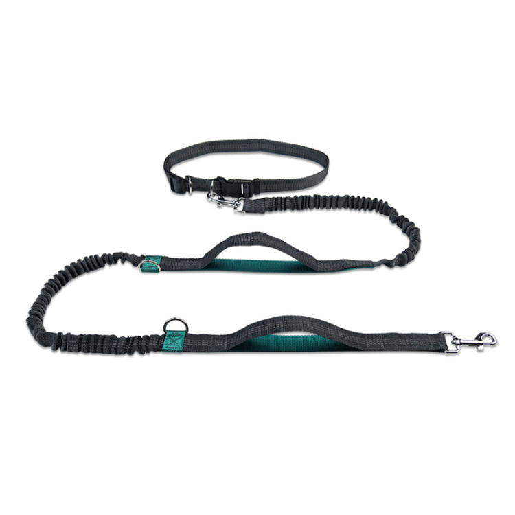 ROADREIGN -Professional Hands-Free Running Leash – Shock-Absorbing Bungee for Active Dogs & Owners 5