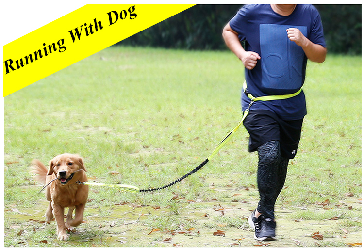 Dog Leash Polyester Material Hands Free Pet Running Leash