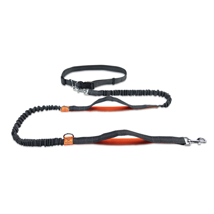 ROADREIGN -Professional Hands-Free Running Leash – Shock-Absorbing Bungee for Active Dogs & Owners 4
