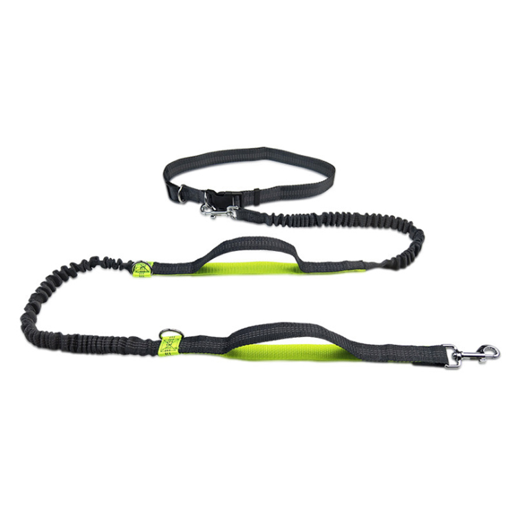 High-quality buy dog leashes in bulk Suppliers | Roadreign 7