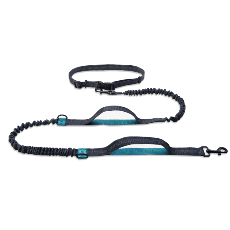 ROADREIGN -Professional Hands-Free Running Leash – Shock-Absorbing Bungee for Active Dogs & Owners 1