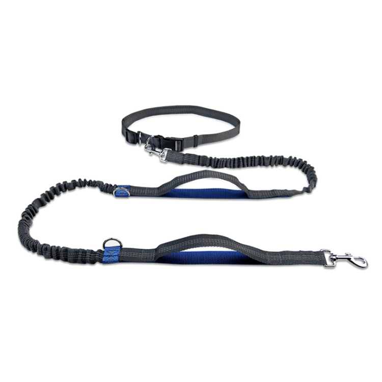 High-quality buy dog leashes in bulk Suppliers | Roadreign 9