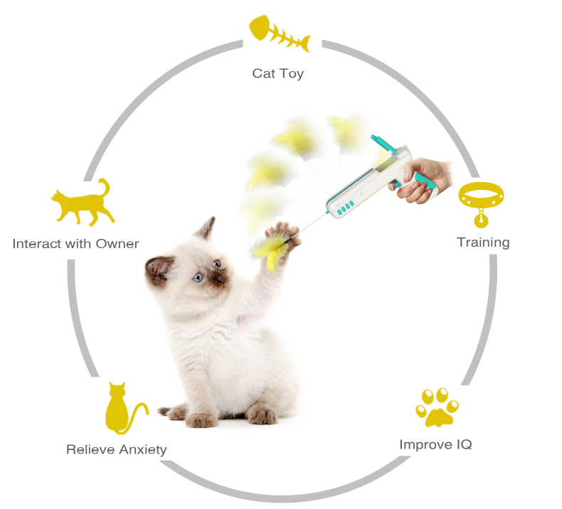 What Kind Of Toys Are Good For Pets? 3