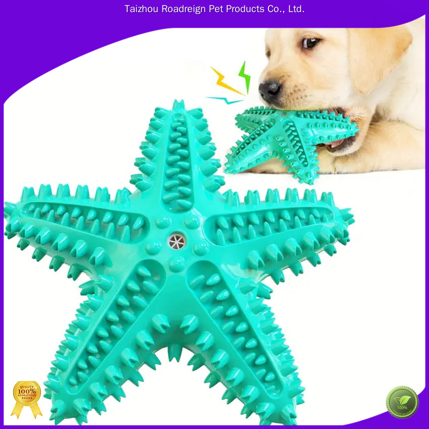 Durable Food Grade Rubber Pet Chew Toy and Toothbrush for Small Dogs 1
