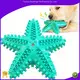 Durable Food Grade Rubber Pet Chew Toy and Toothbrush for Small Dogs 1