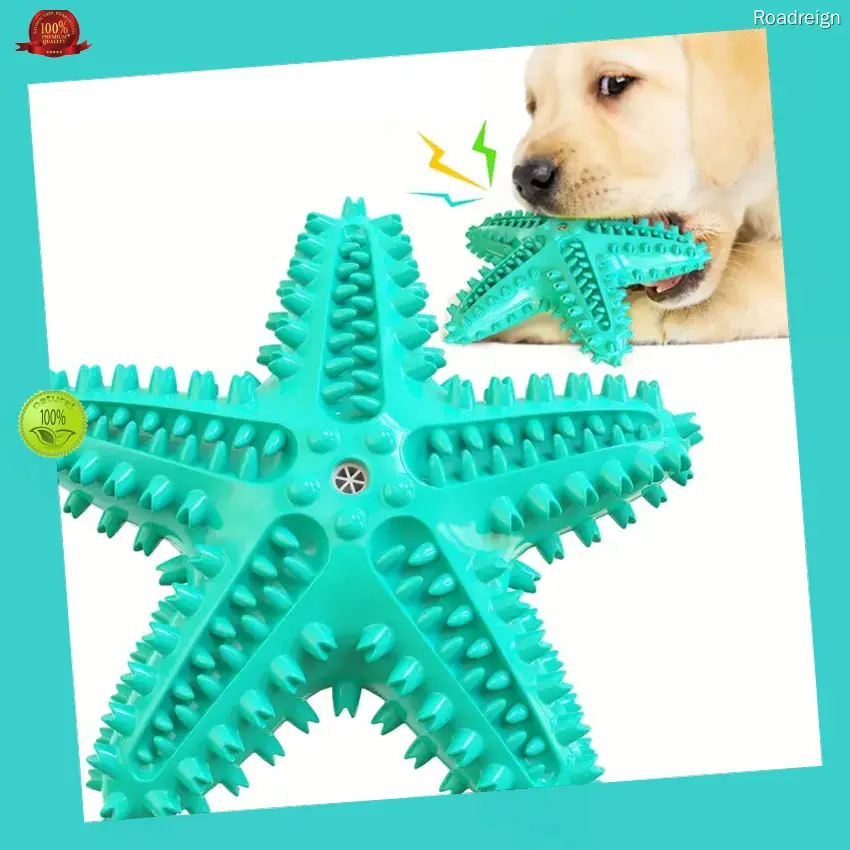 Chewy Dog Toothbrush: Durable TPR Pet Chew Toy for Dental Hygiene 1