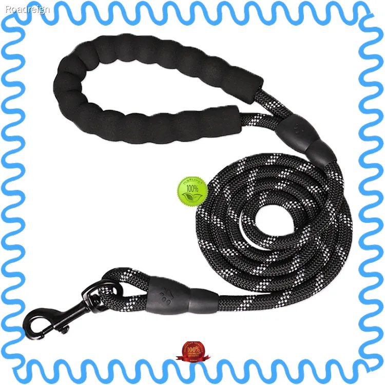 Strong Nylon Dog Leash with Padded Handle, Reflective Threads, and Customizable Options - Bulk Dog Leashes Wholesale 1