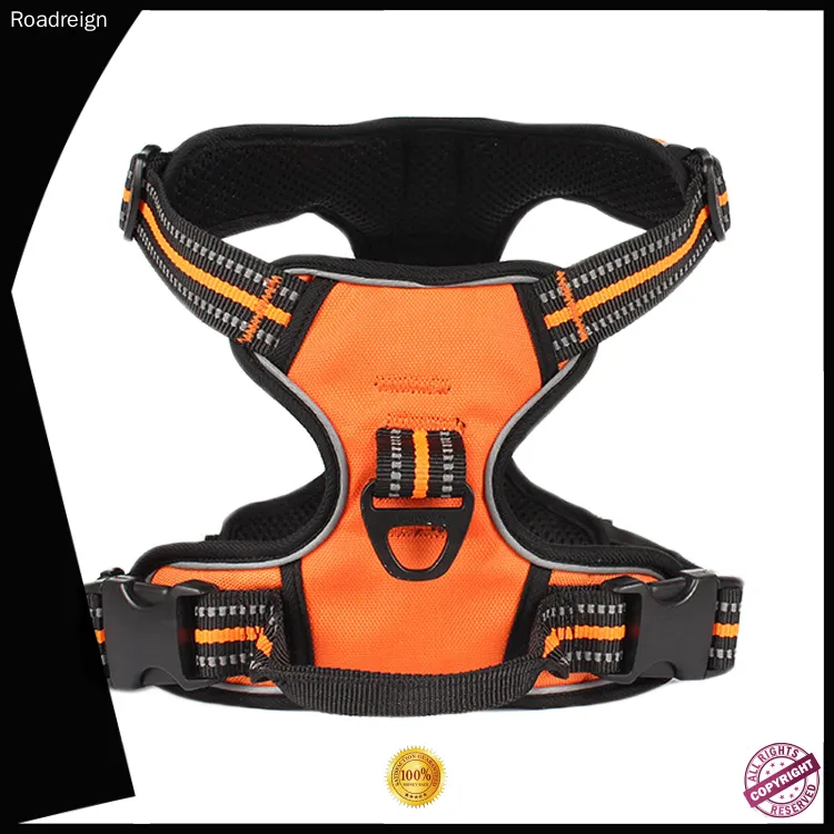 Reflective Step In Dog Harness with Customization Available 1