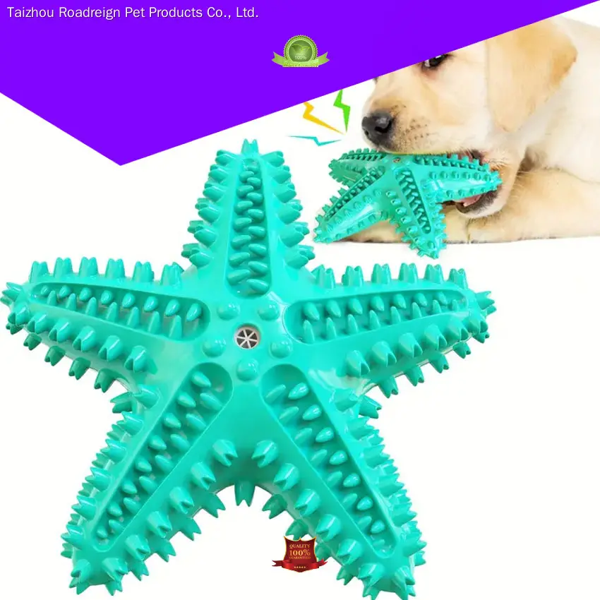 Durable TPR Dog Dental Toothbrush Chew Toy 1