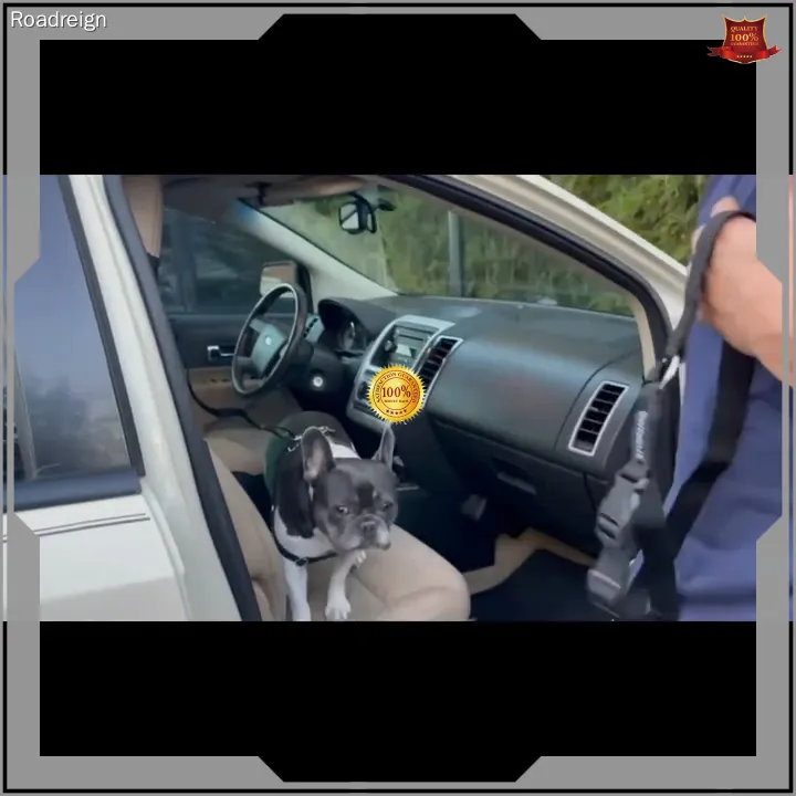 Adjustable Car Safety Belt for Pets & Leash - Durable Nylon Material - Buy in Bulk 1