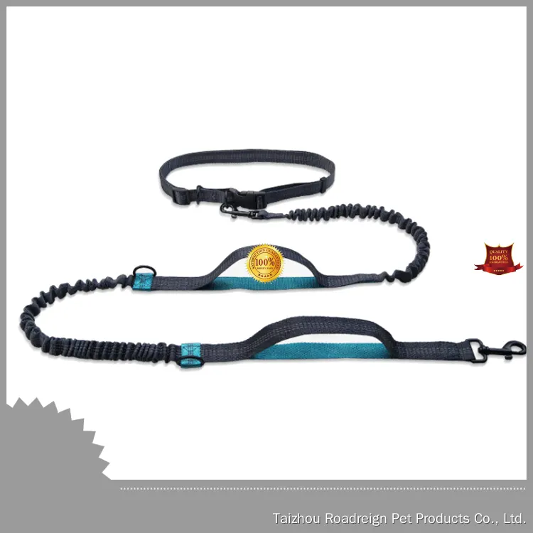 Hands Free Dog Leash - Polyester Material, Running Leash - Buy in Bulk 1