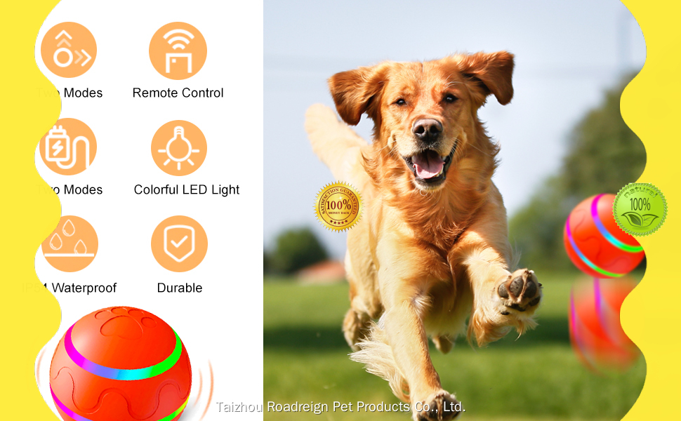 Remote Control Rechargeable Self Rolling Ball Interactive Dog Toy with LED Lights 1