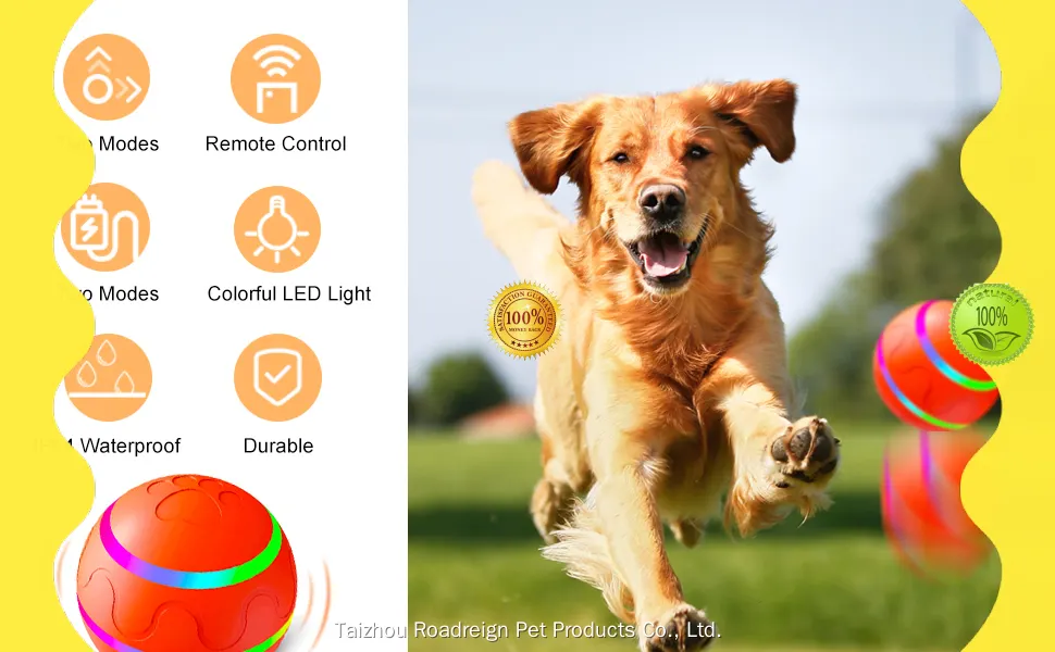 Remote Control Rechargeable Self Rolling Ball Interactive Dog Toy with LED Lights 1