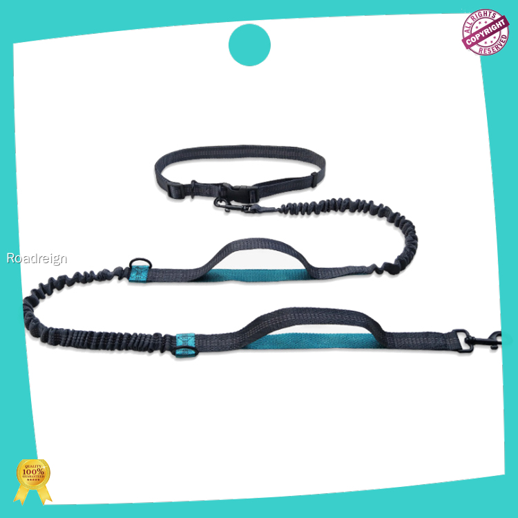 Correas para perros de alta calidad al por mayor | Roadreign 1