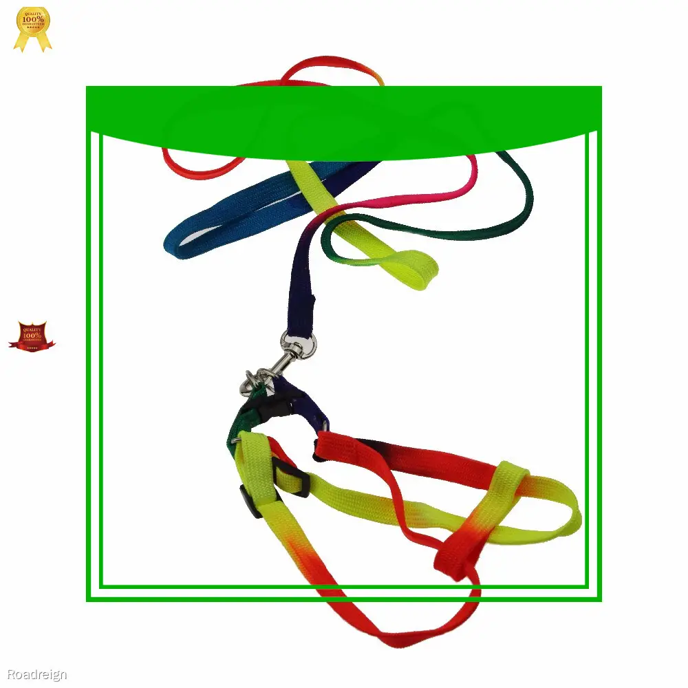 Custom dog harness wholesale suppliers Supply Manufacturer | Roadreign 1