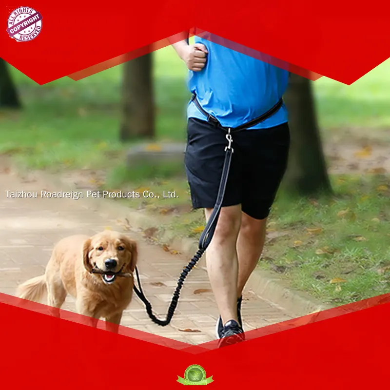 wholesale dog collars and leads at Wholesale Prices | Roadreign 1