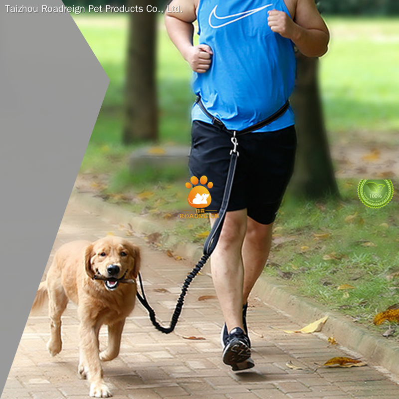 Correas para perros al por mayor a precios de mayorista | Roadreign 1