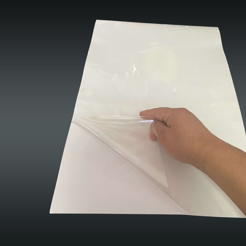 Customized Cat Scratch Stickers manufacturers From China | Roadreign LL-9801 7