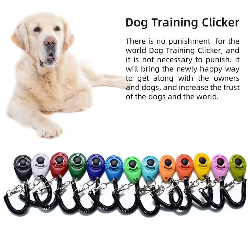 Customized Pet Trainer manufacturers From China | Roadreign LL-7983 3