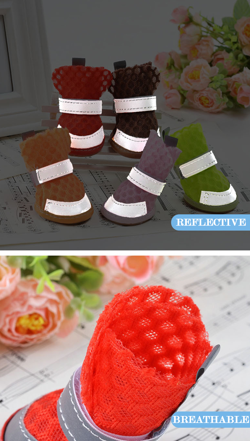 Quality Dog Shoes Manufacturer | Roadreign LL-8701 9