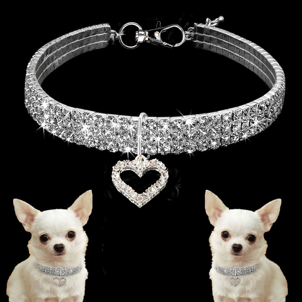 Best Pet Necklace Company - Roadreign LL-7952 6