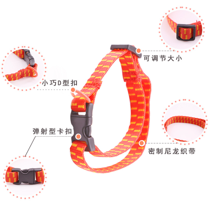 Quality Pet Flea Collar Manufacturer | Roadreign LL-7803 2