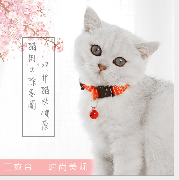 Quality Pet Flea Collar Manufacturer | Roadreign LL-7803 4