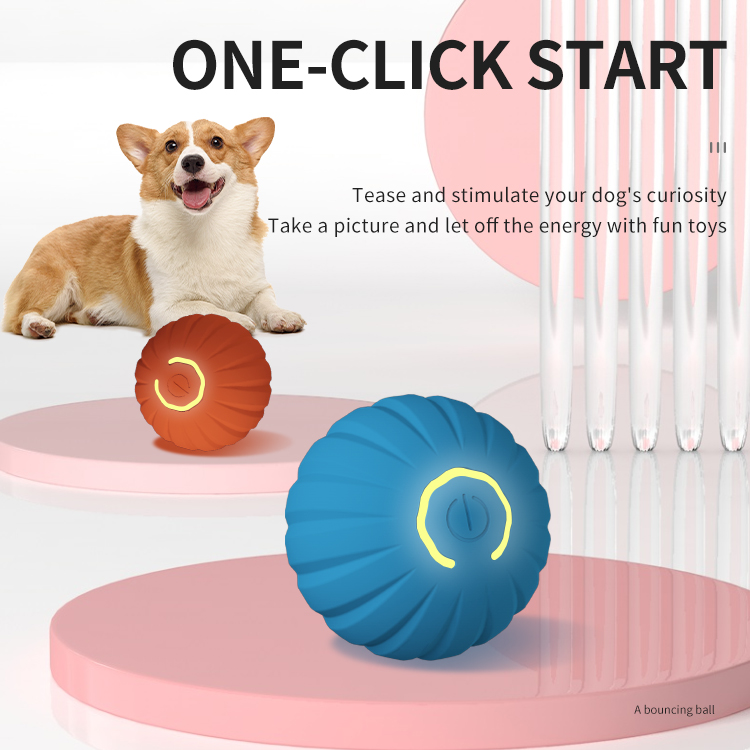 Quality Pet Ball Toy Manufacturer | Roadreign LL-3254 4