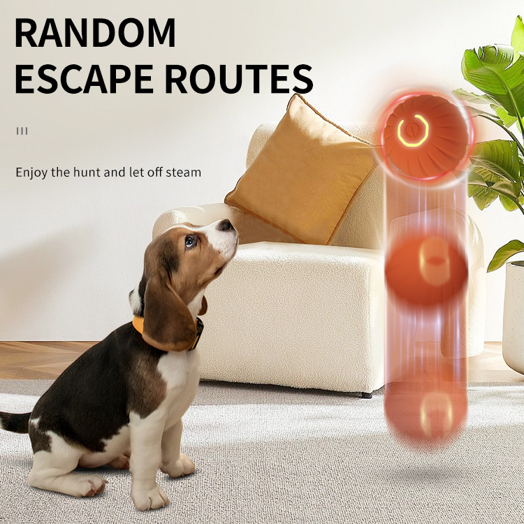 Quality Pet Ball Toy Manufacturer | Roadreign LL-3254 3