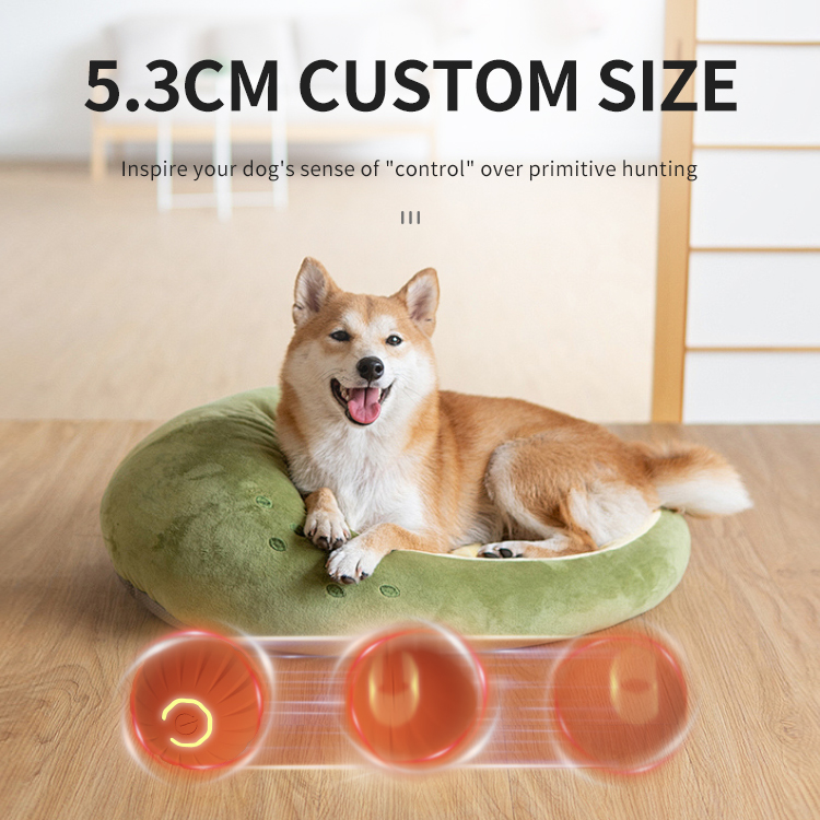 Quality Pet Ball Toy Manufacturer | Roadreign LL-3254 5