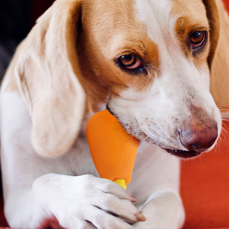 Best Pet Vinyl Toy Company - Roadreign LL-3198 3