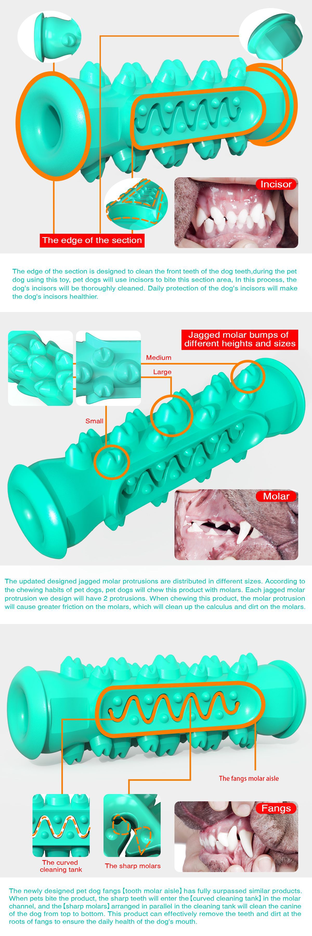 Best Pet  Toy Company - Roadreign LL-3131 6