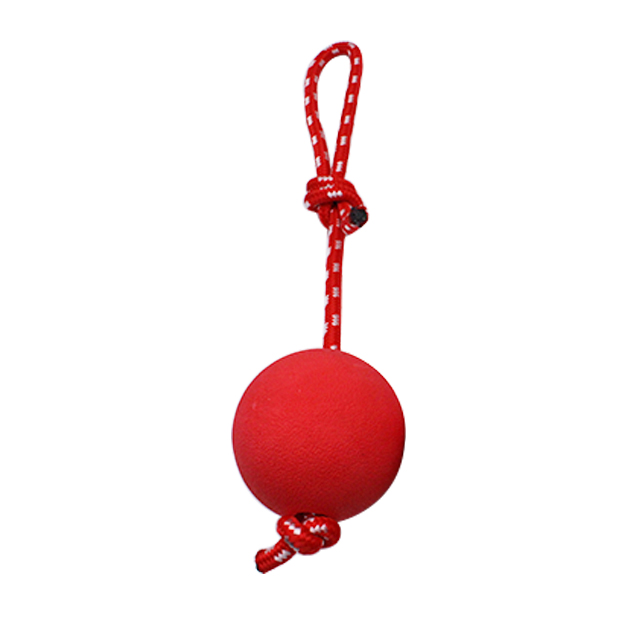 Customized Dog Chew Toy manufacturers From China | Roadreign LL-3120 1