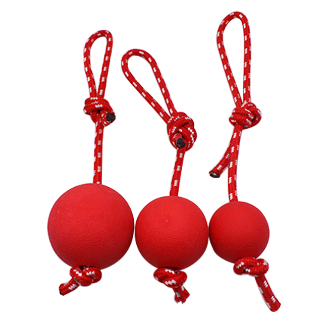 Customized Dog Chew Toy manufacturers From China | Roadreign LL-3120 2