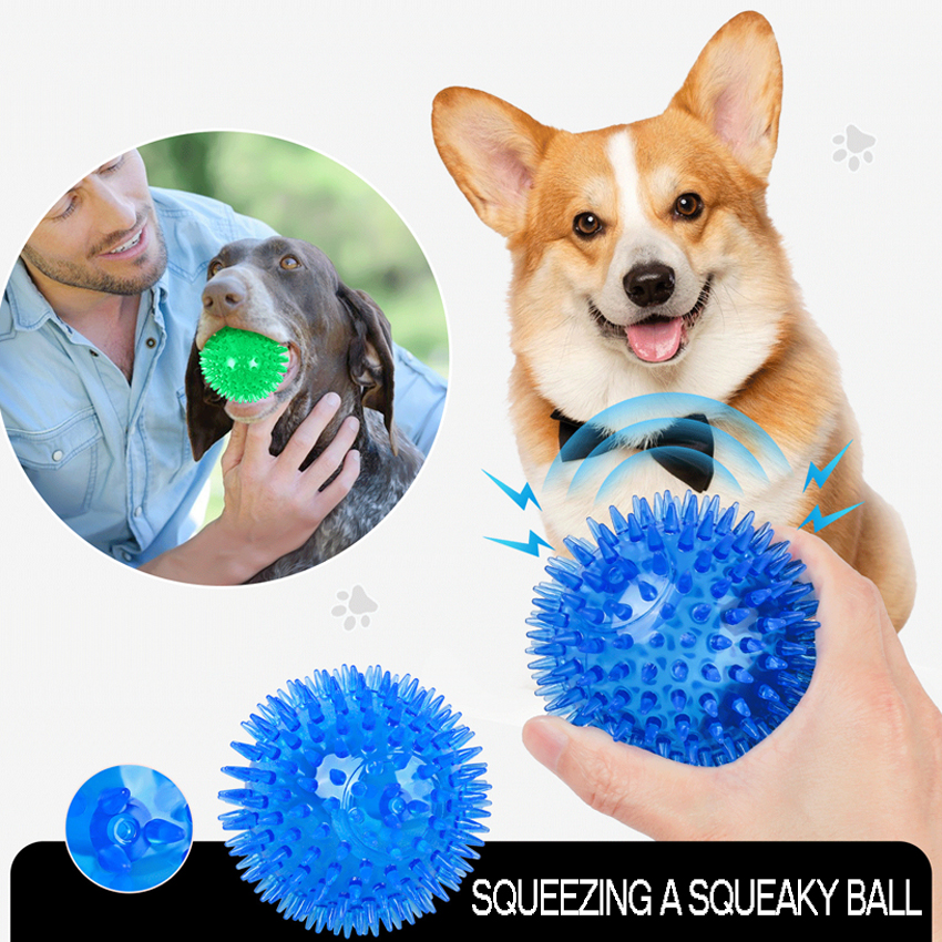 Quality TPR Pet Chew Toy（Voice） Manufacturer | Roadreign LL-3071 7